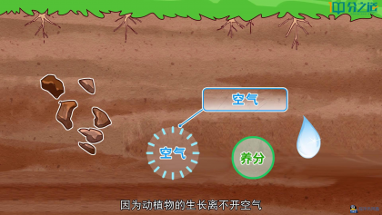 小学科学同步网课动画片(1-6年级)-程序员阿鑫-带你一起秃头-第1张图片
