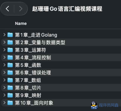 赵珊珊Go语言汇编视频课程-程序员阿鑫-带你一起秃头-第1张图片