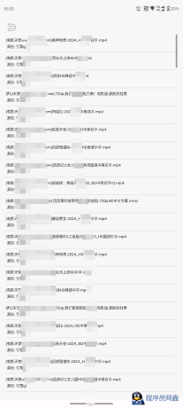 飞木磁力1.1.4超强磁力搜索工具-程序员阿鑫-带你一起秃头-第2张图片