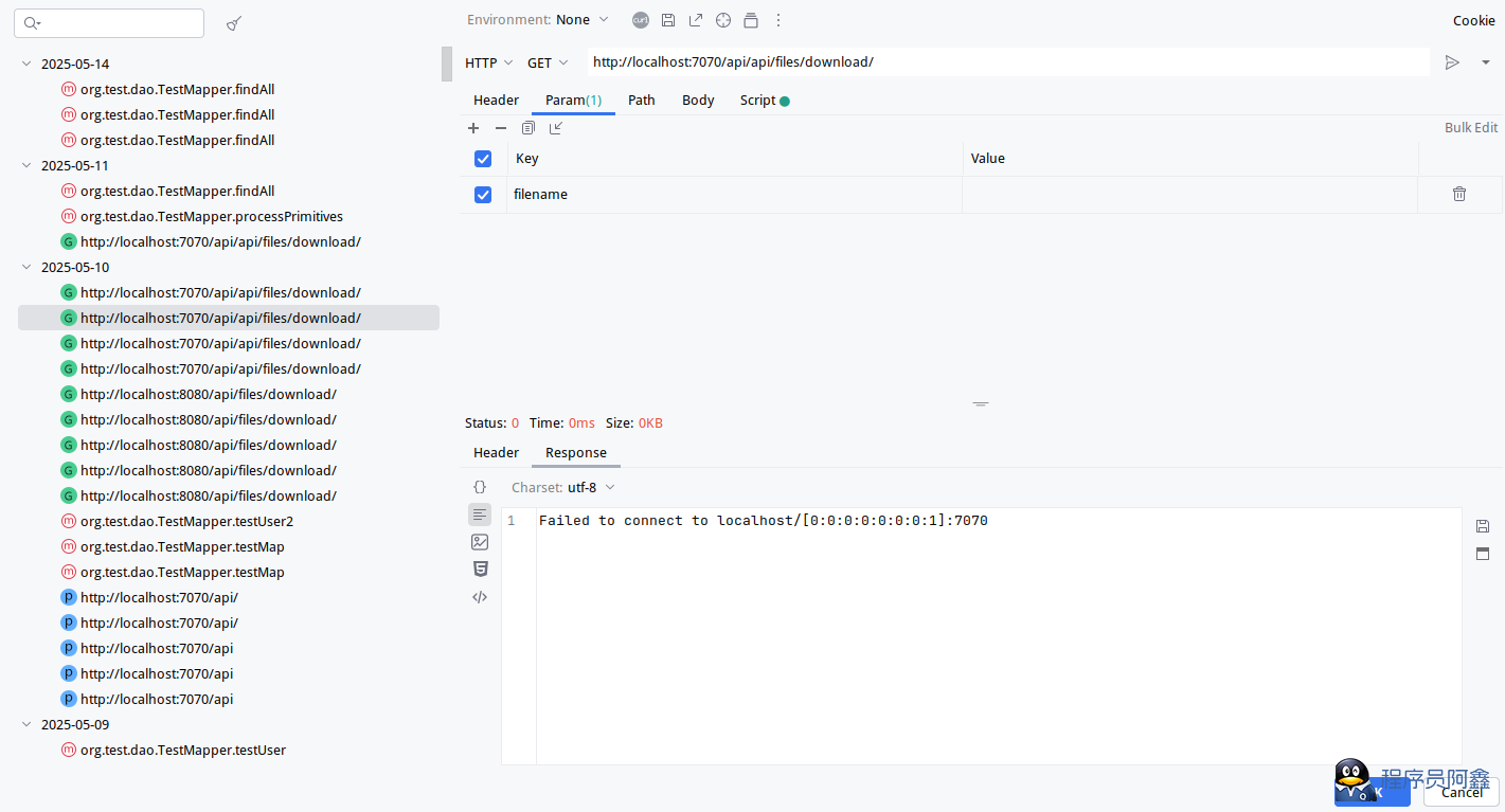 CoolRequest插件给大家安利一个开源的IDEA内API调用插件-程序员阿鑫-带你一起秃头-第4张图片