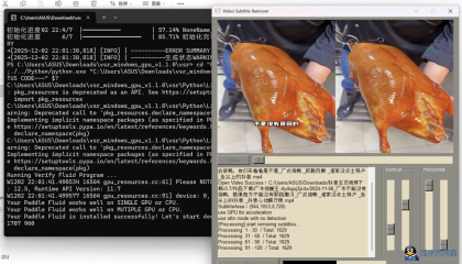 视频硬字幕去除器v1.1.0-程序员阿鑫-带你一起秃头-第2张图片