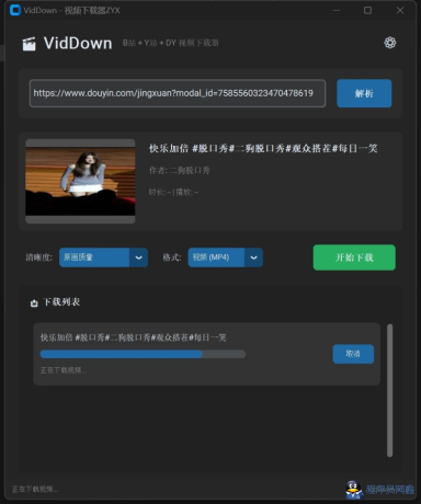 VidDown视频下载器v1.0无水印下载B站/钭音/油管等-程序员阿鑫-带你一起秃头-第1张图片