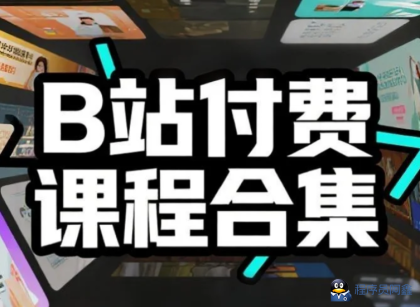 B站付费课程超级大合集mp4-程序员阿鑫-带你一起秃头-第1张图片