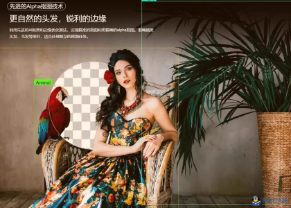 智能抠图Matting2.6一键快速抠图PS修图影楼设计AI抠图工具-程序员阿鑫-带你一起秃头-第1张图片